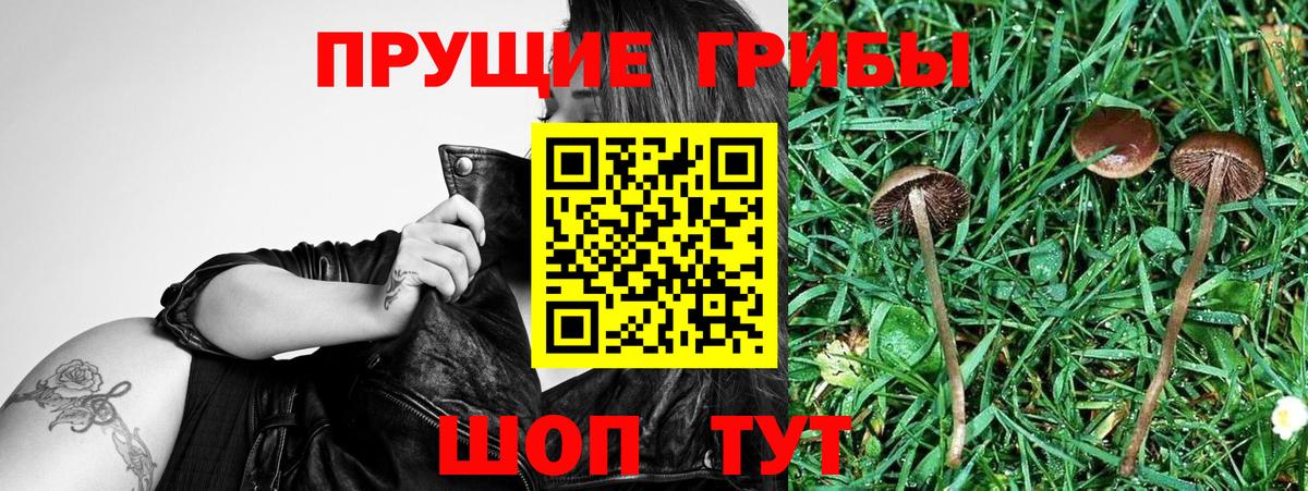 Галлюциногенные грибы прущие грибы Назрань